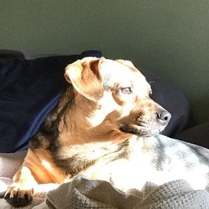 Meet your Posher, Frances